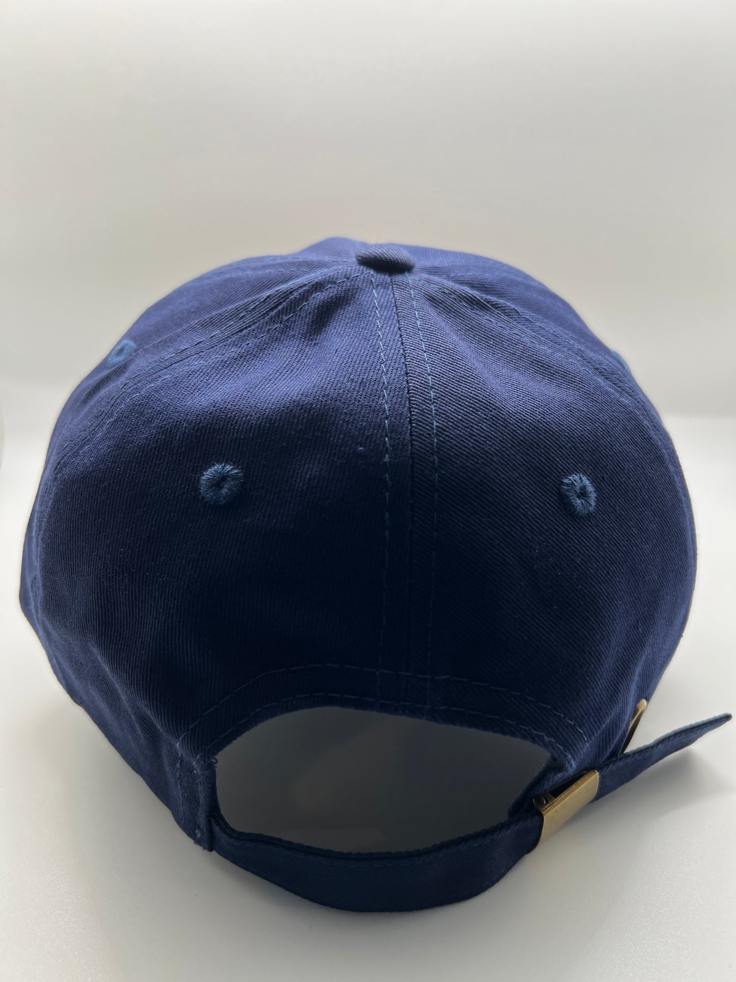 Weather the Storm navy blue dad hat